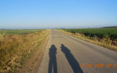 CaMiNO ali PoT za NoRcE??